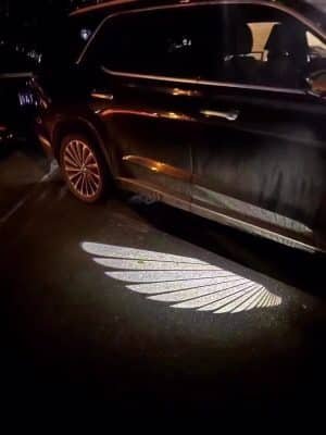 Angel Wings with Lights