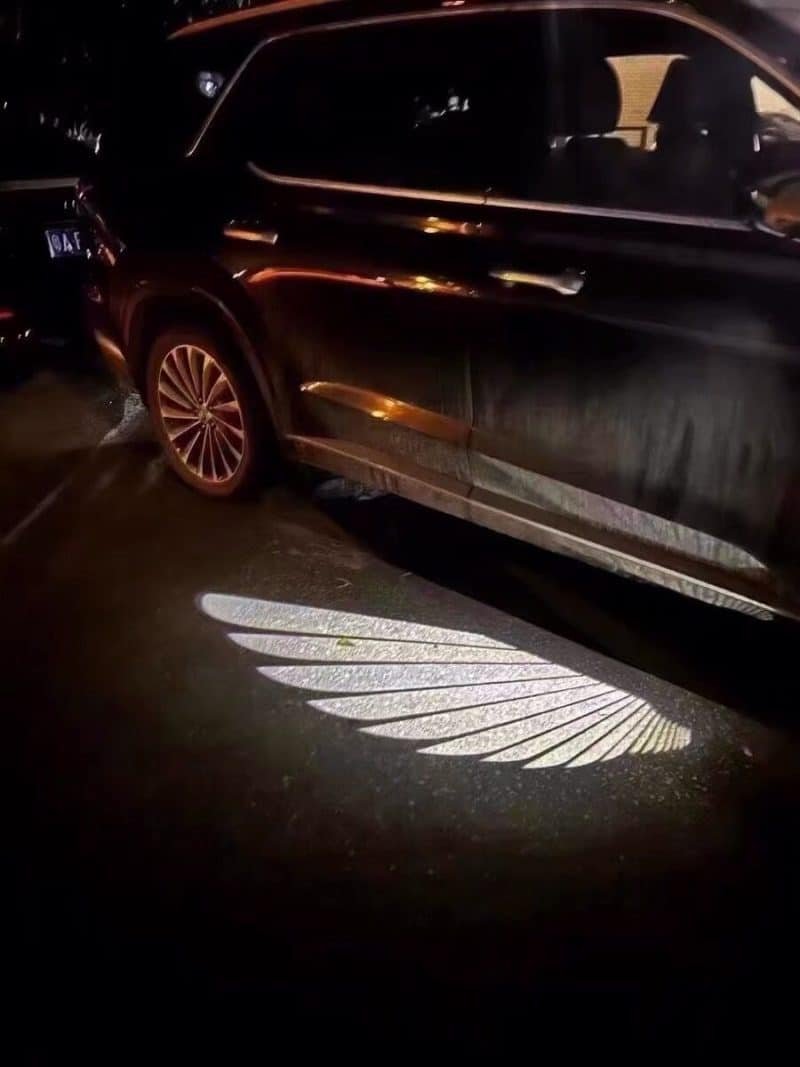 Angel Wings with Lights